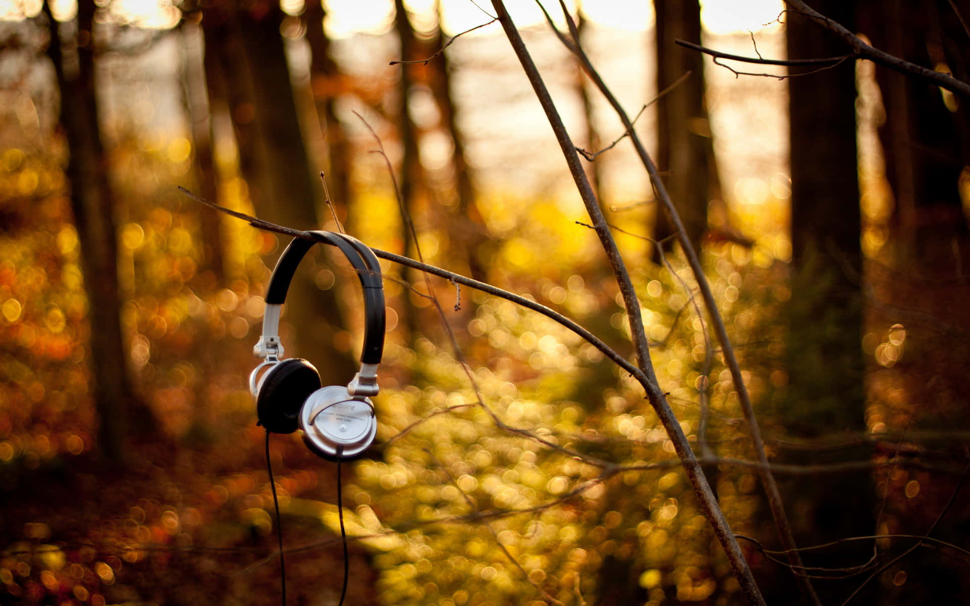 Autumn Forest Headphones Hangingon Branch Wallpaper