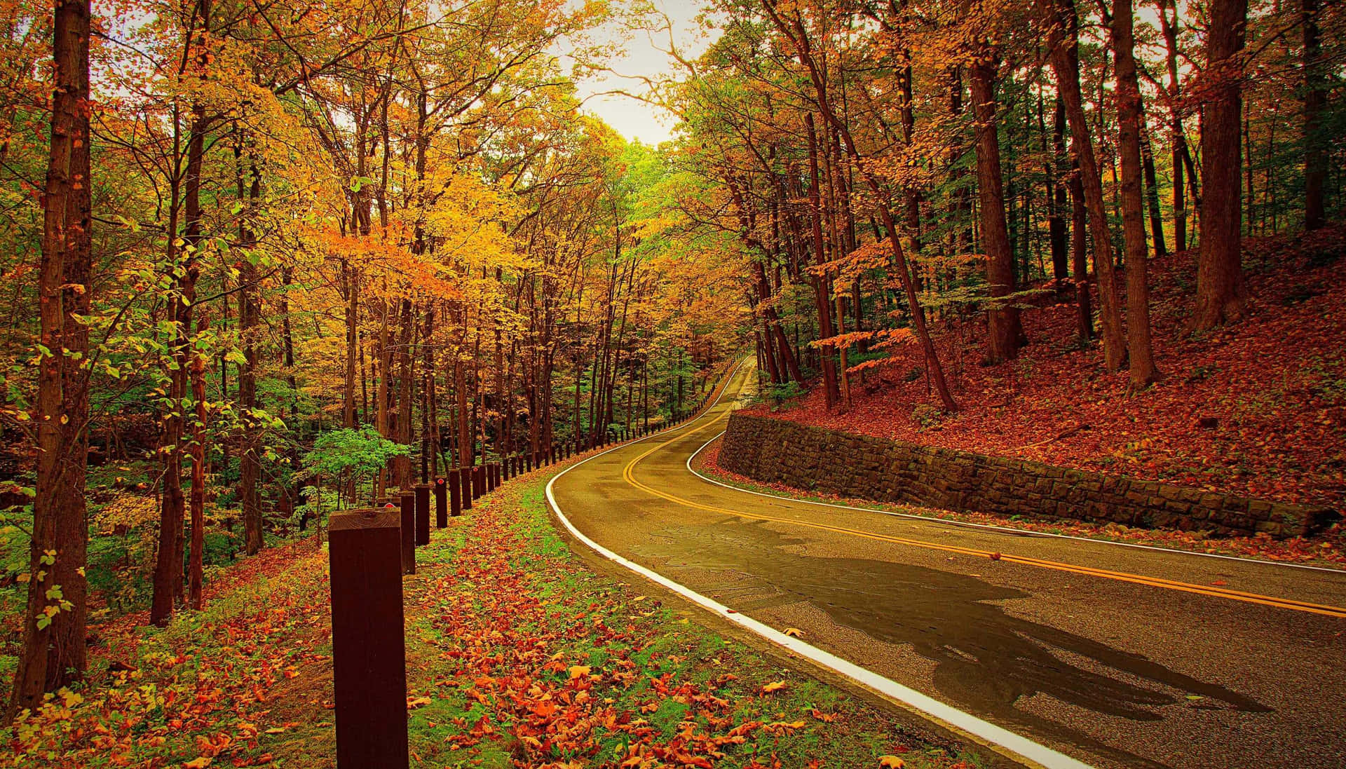 Autumn Forest Road.jpg Wallpaper