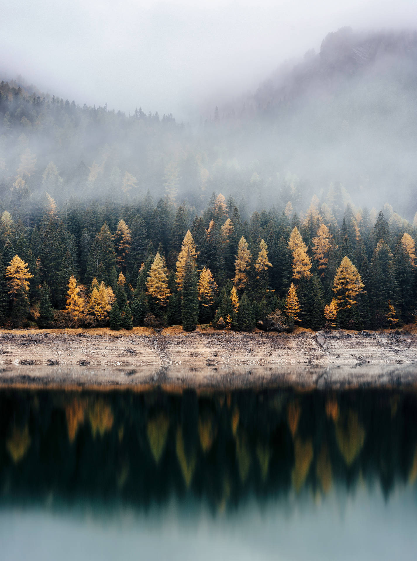 Autumn forest trees lake reflection wallpaper.