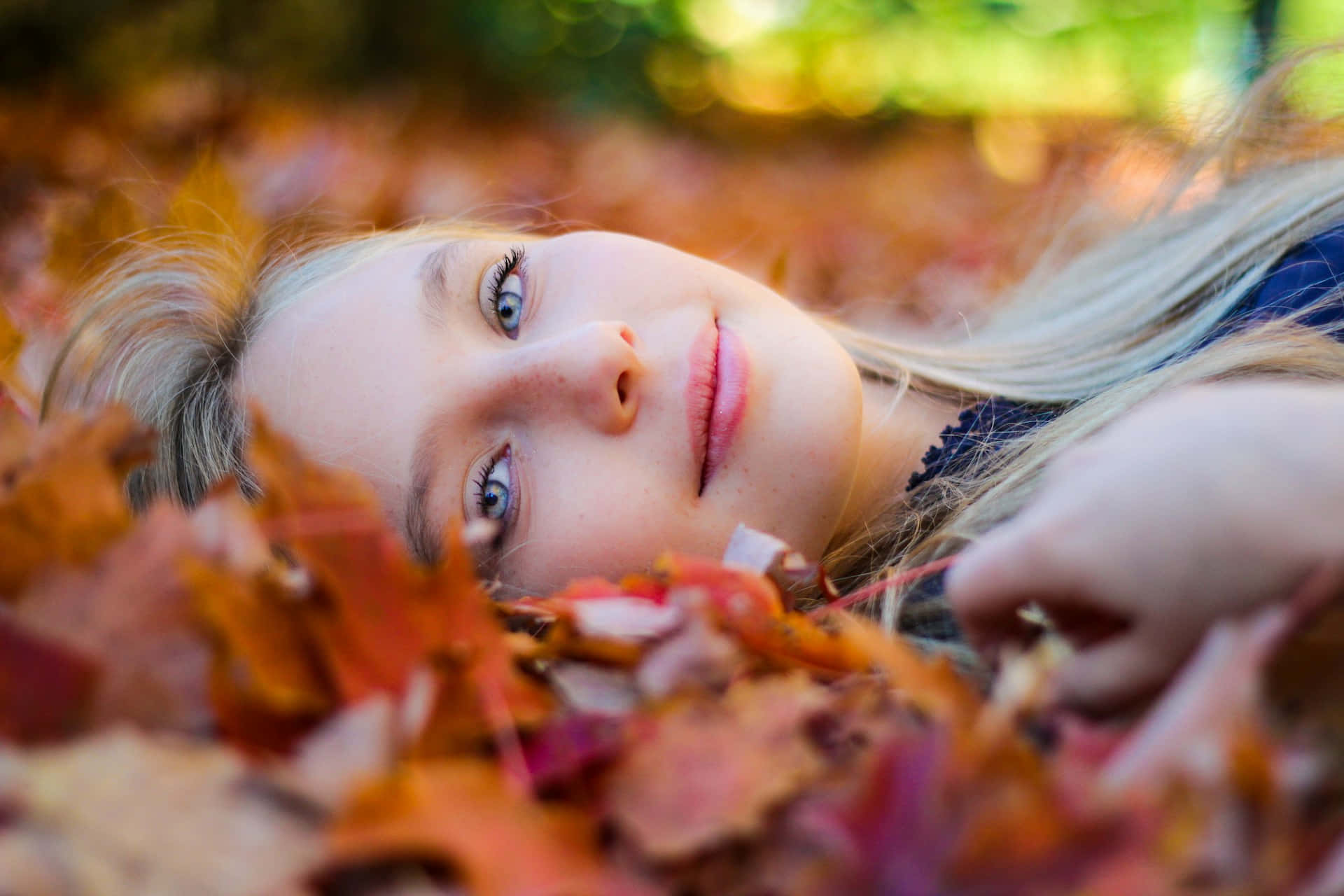 Autumn Girl Lyingin Fallen Leaves Wallpaper