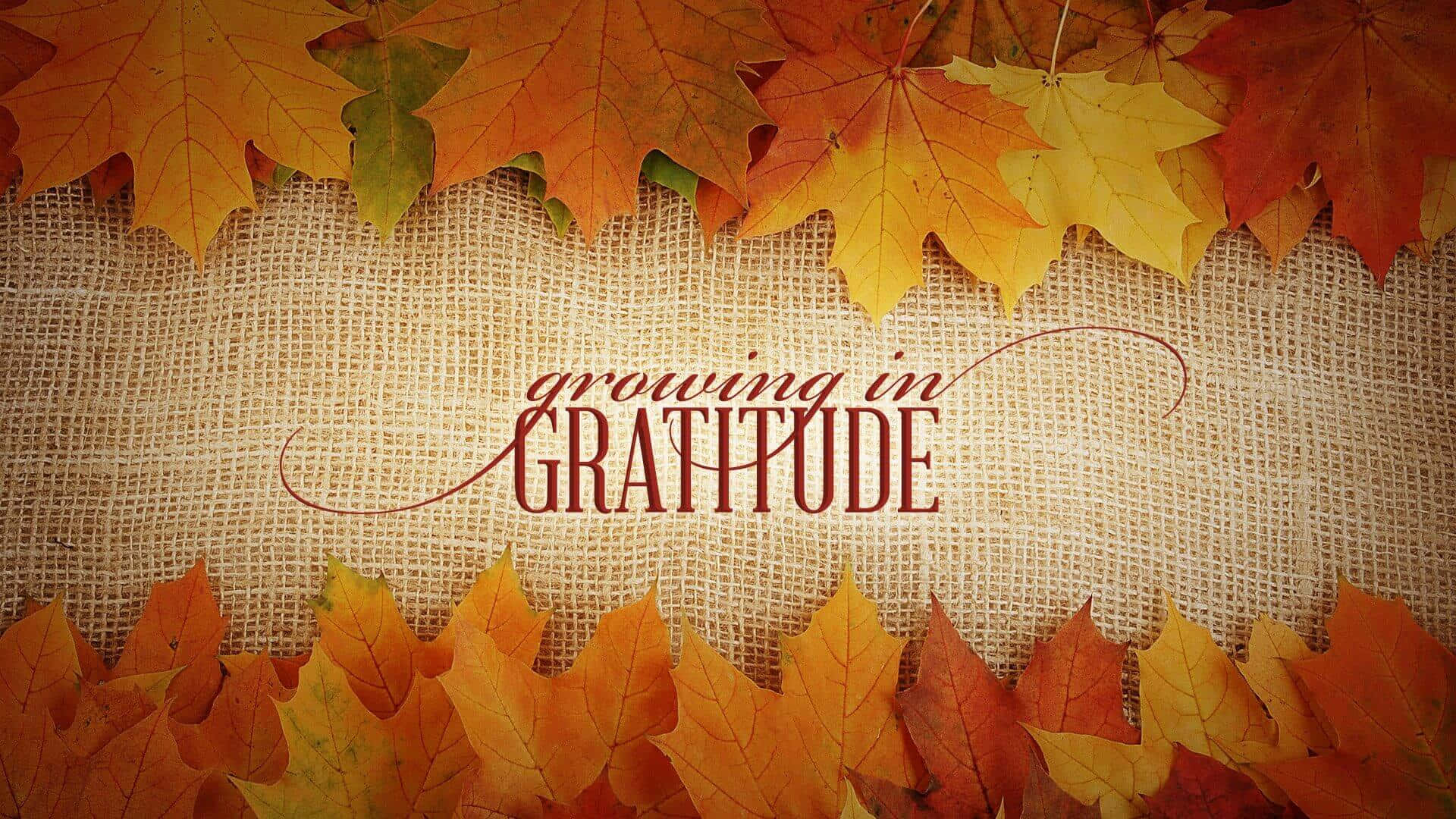 Autumn Gratitude Wallpaper