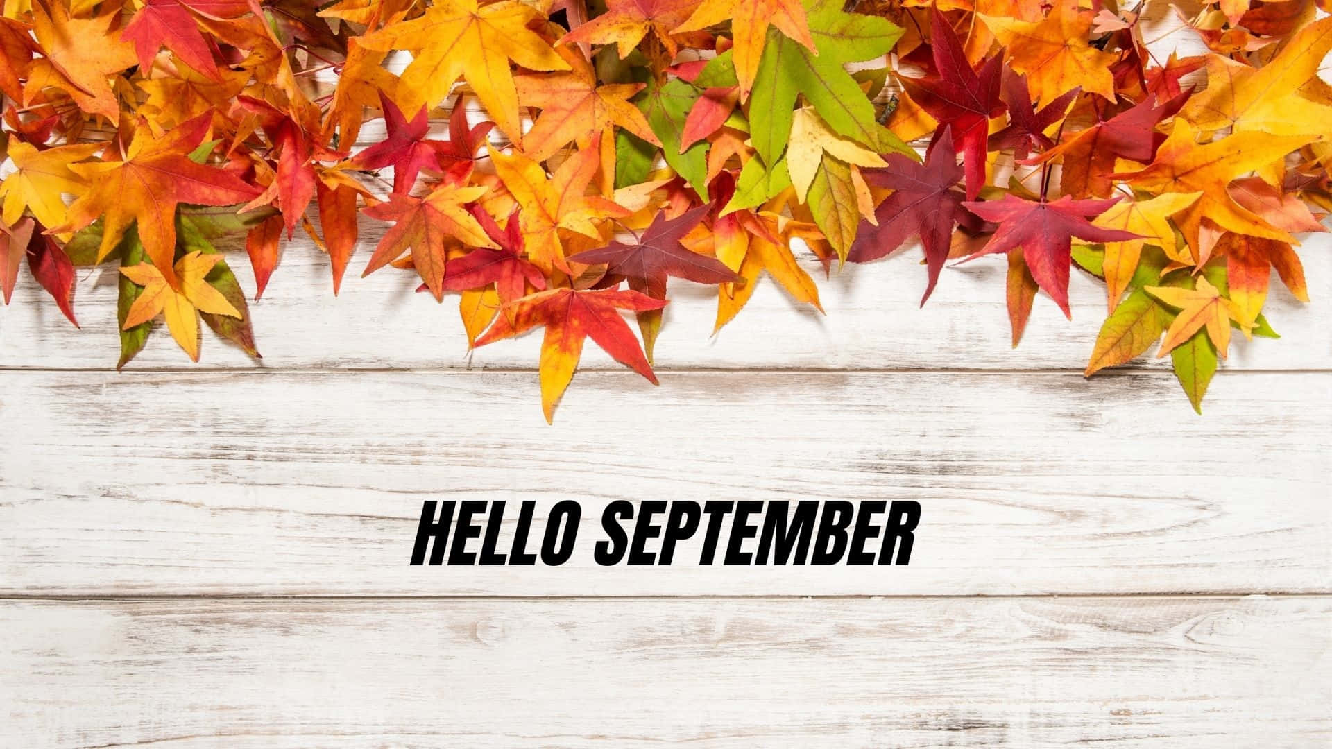 Autumn Greeting Hello September Wallpaper