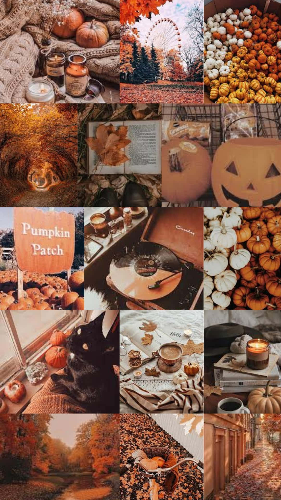 Autumn Halloween Collage Aesthetic.jpg Wallpaper