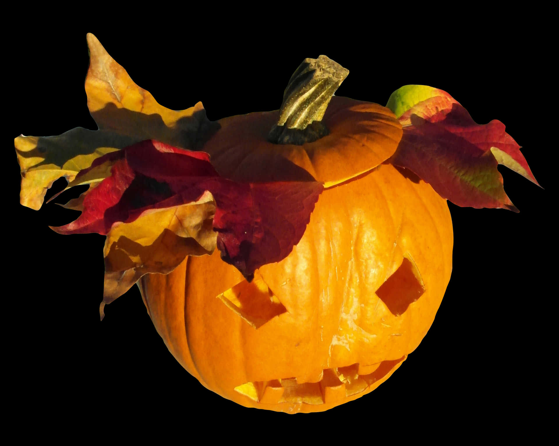 Autumn Halloween Pumpkin Carving PNG