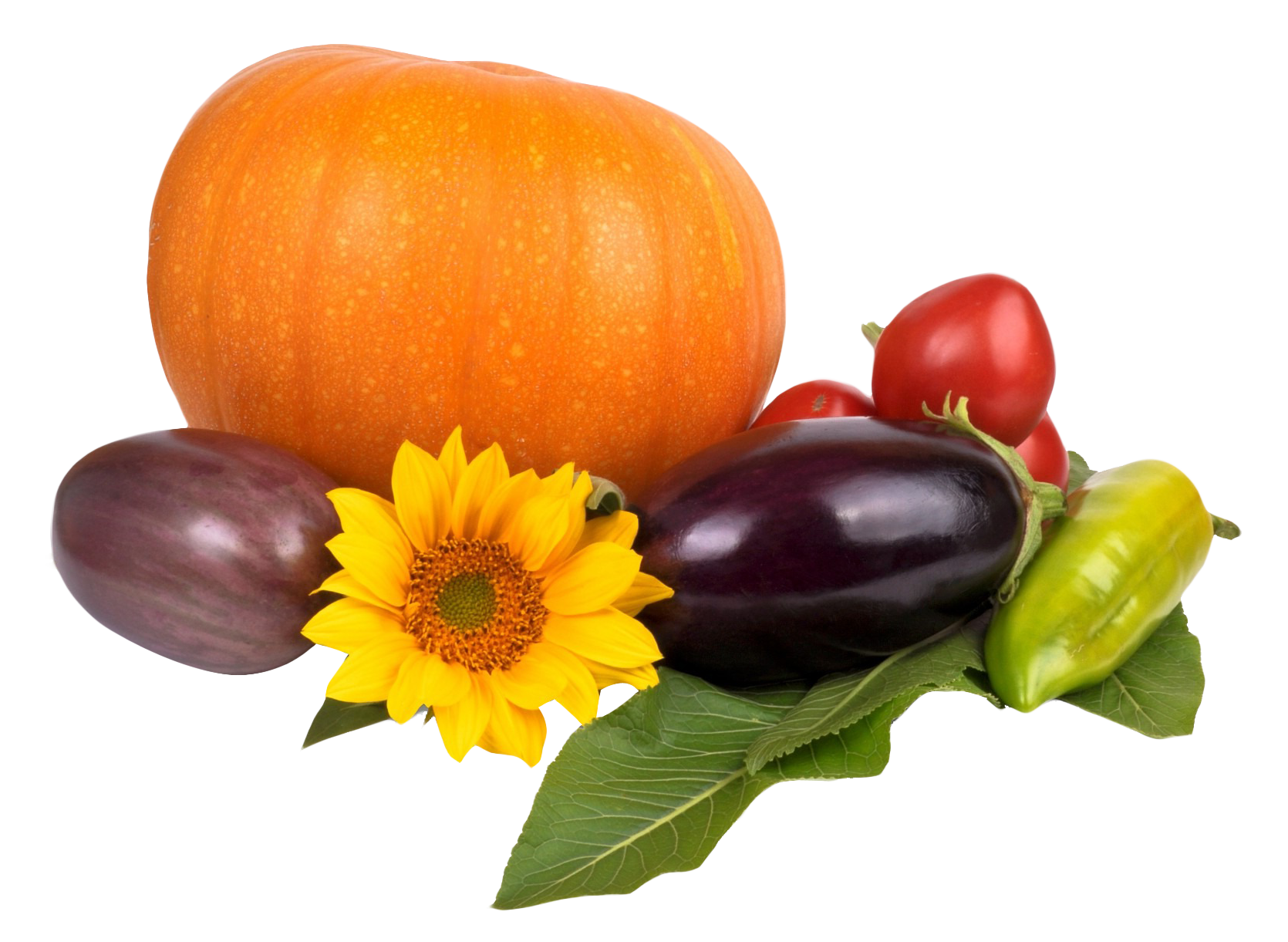 Autumn Harvest Pumpkinand Vegetables PNG