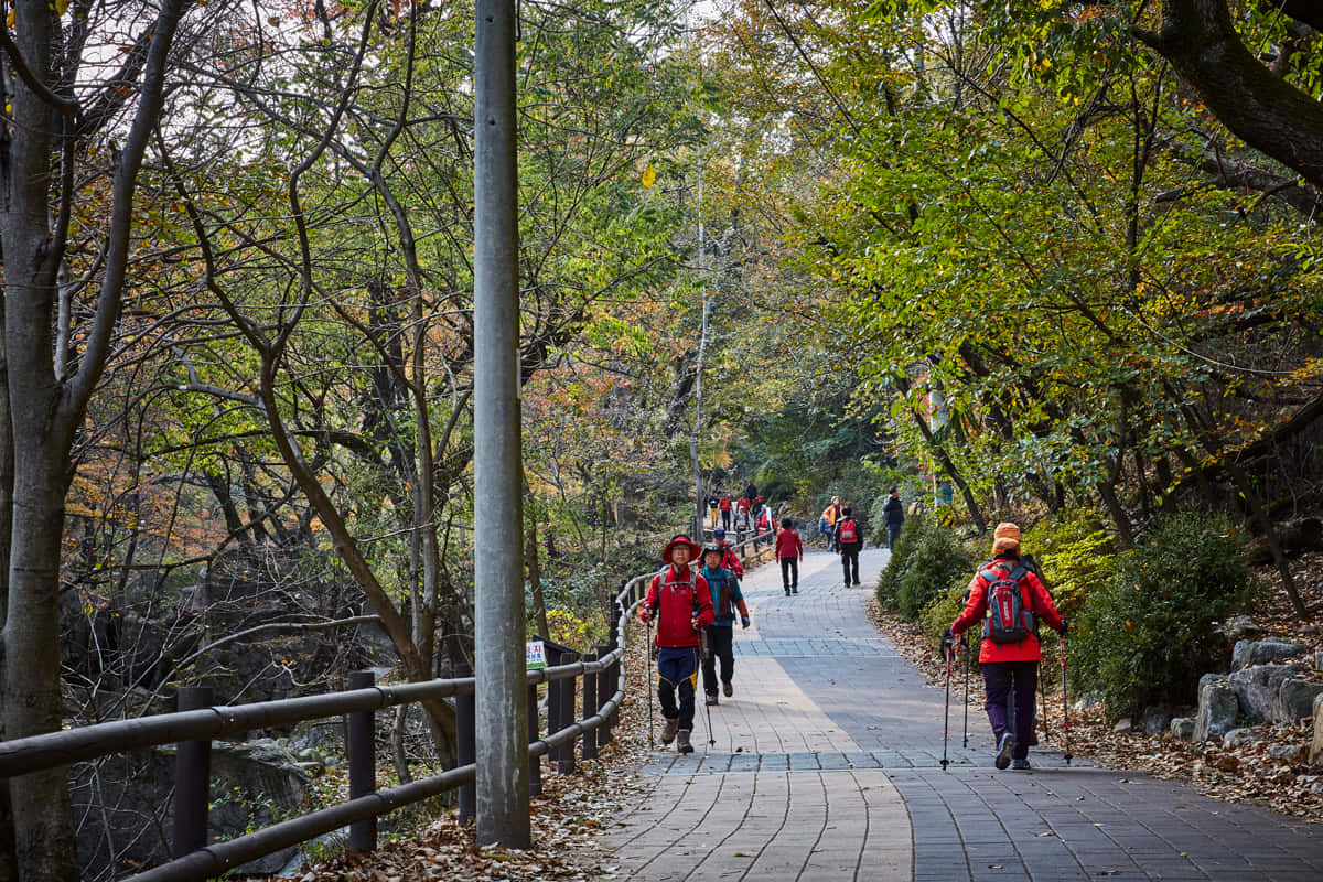 Autumn_ Hiking_in_ Bukhansan_ National_ Park Wallpaper