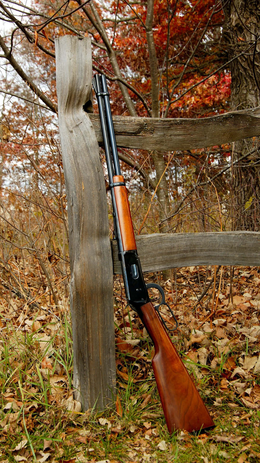 Autumn Hunting Rifle Leaningon Fence Wallpaper