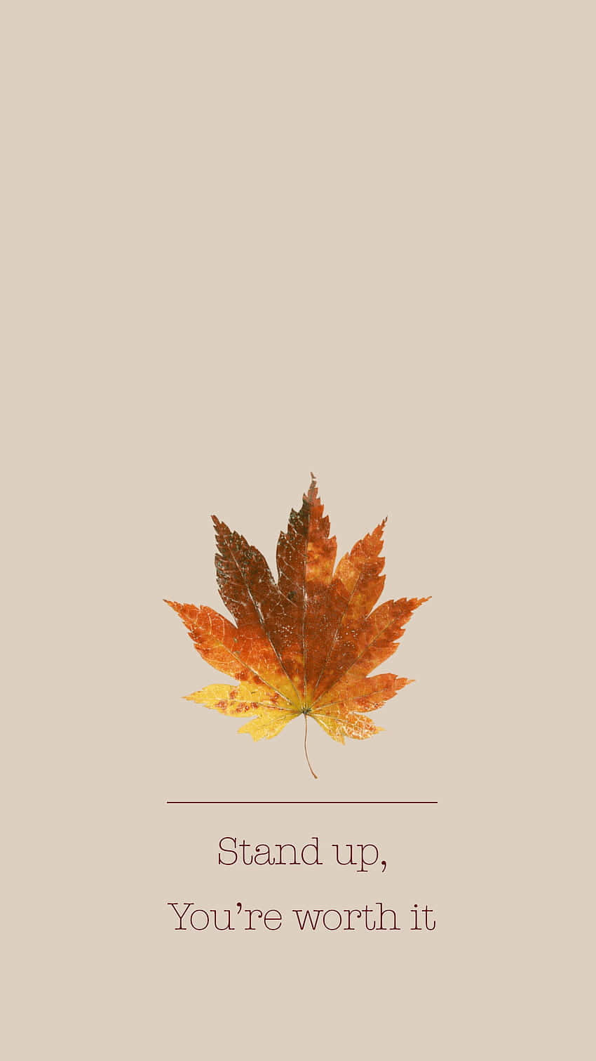 Autumn Inspiration Worth It Wallpaper