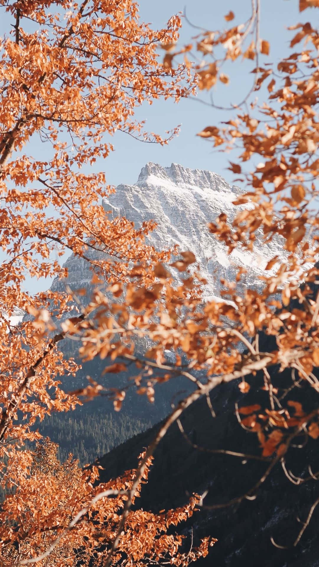 Autumn Iphone 6 Plus With A Snowy Mountain Wallpaper