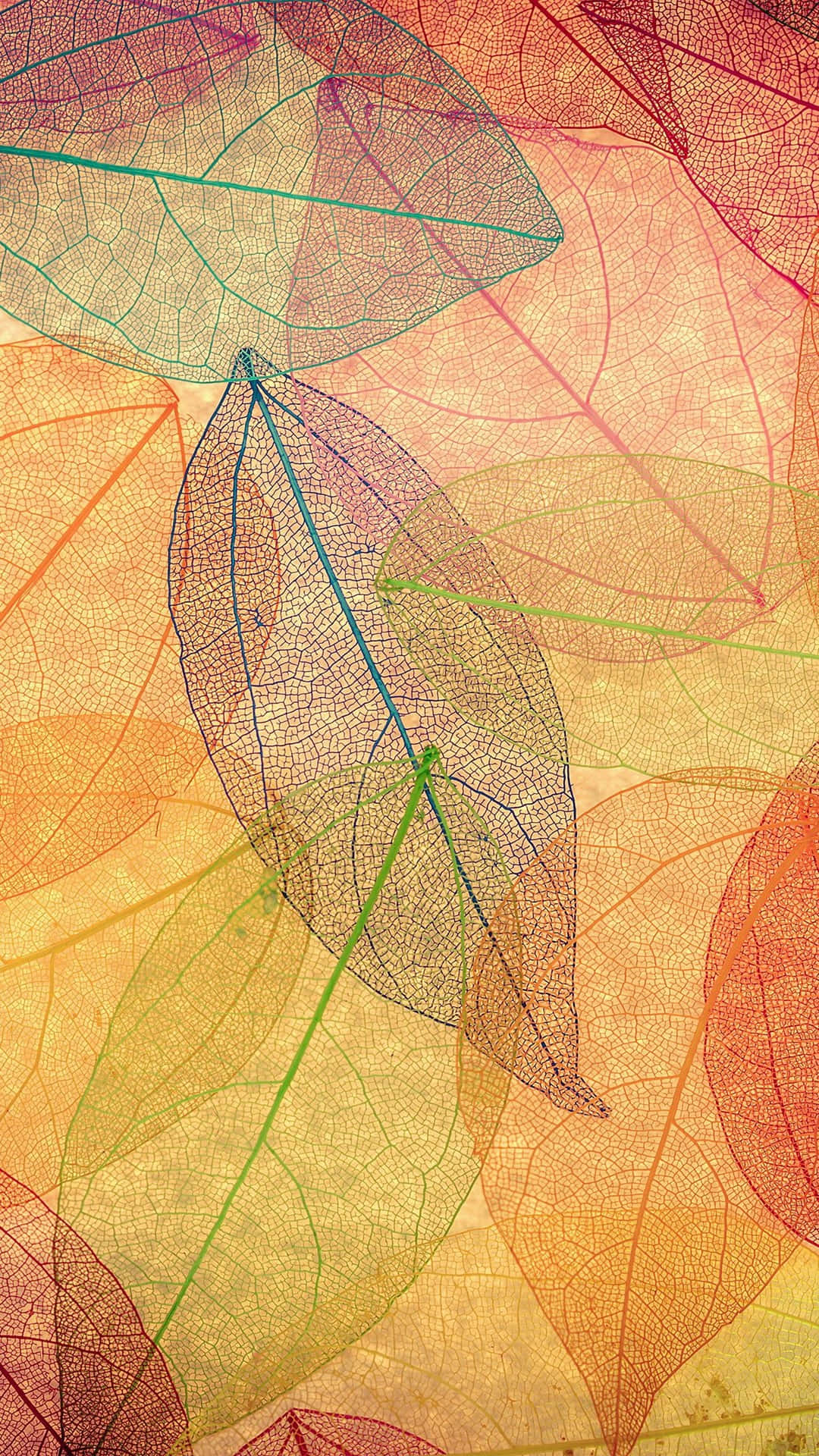 Nyd farverne af efterår med en iPhone 6 Plus tapet. Wallpaper
