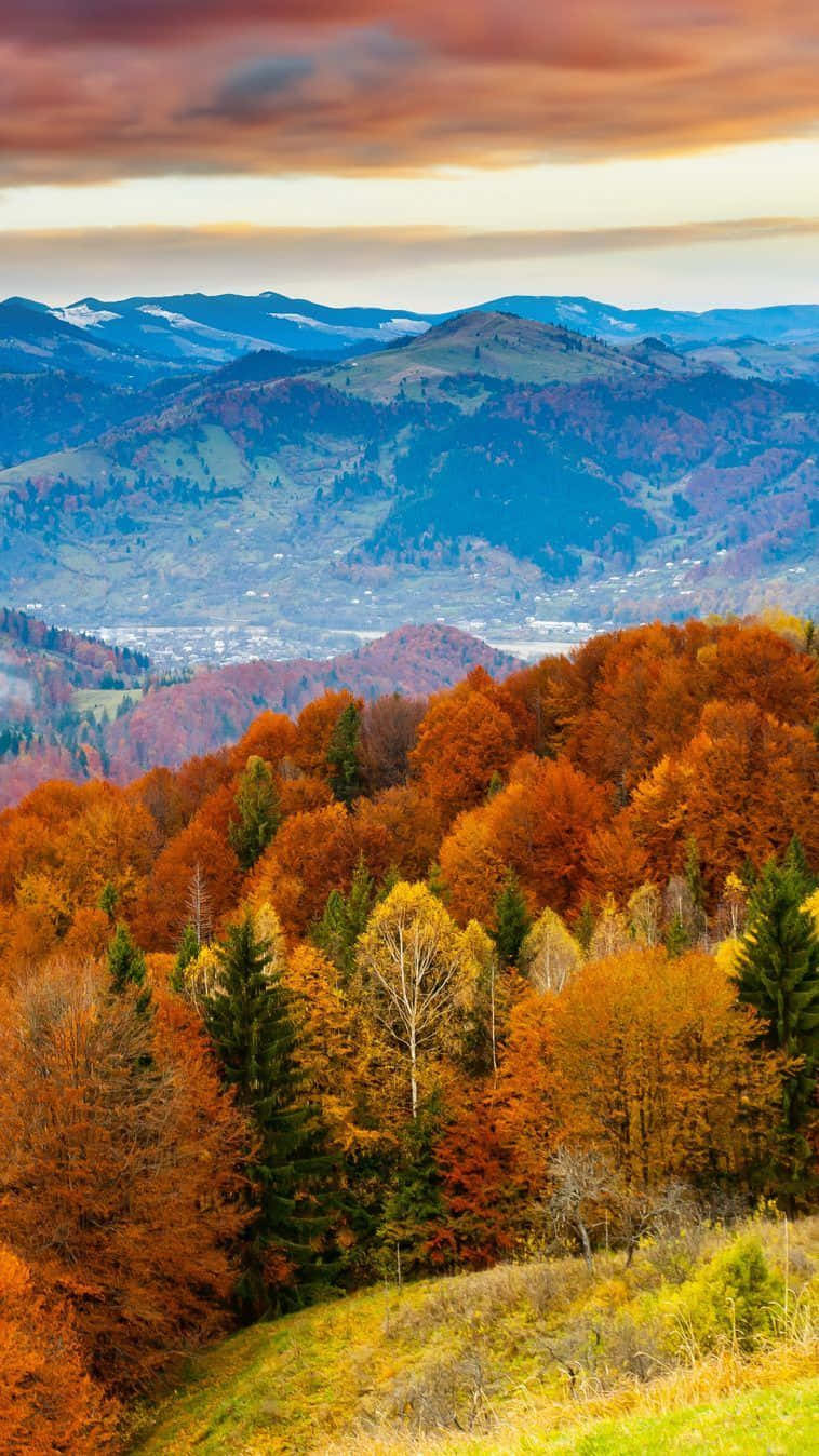Nyd skønheden af ​​efteråret med Iphone 6 Plus Tapet Wallpaper