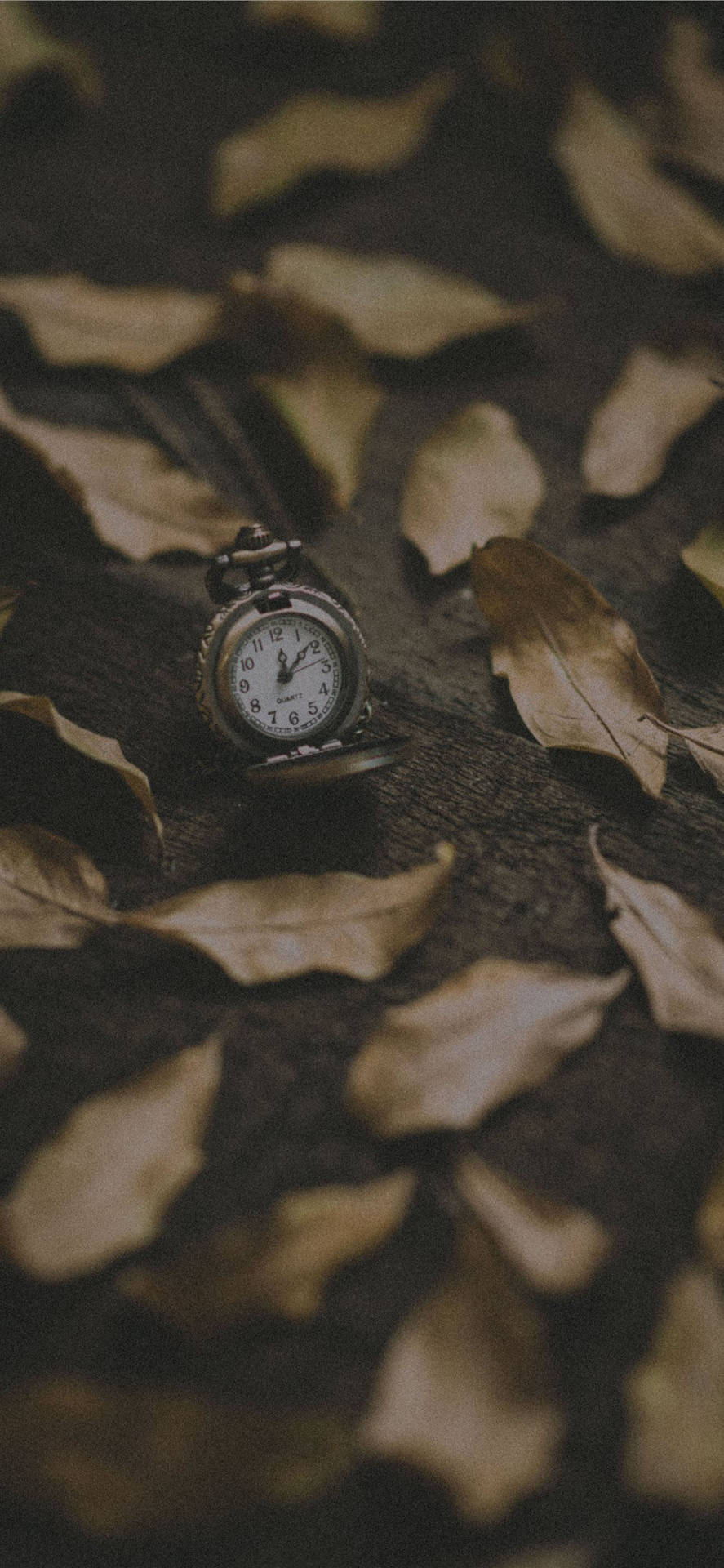 Autumn Iphone Foliage And Pocket Watch Wallpaper