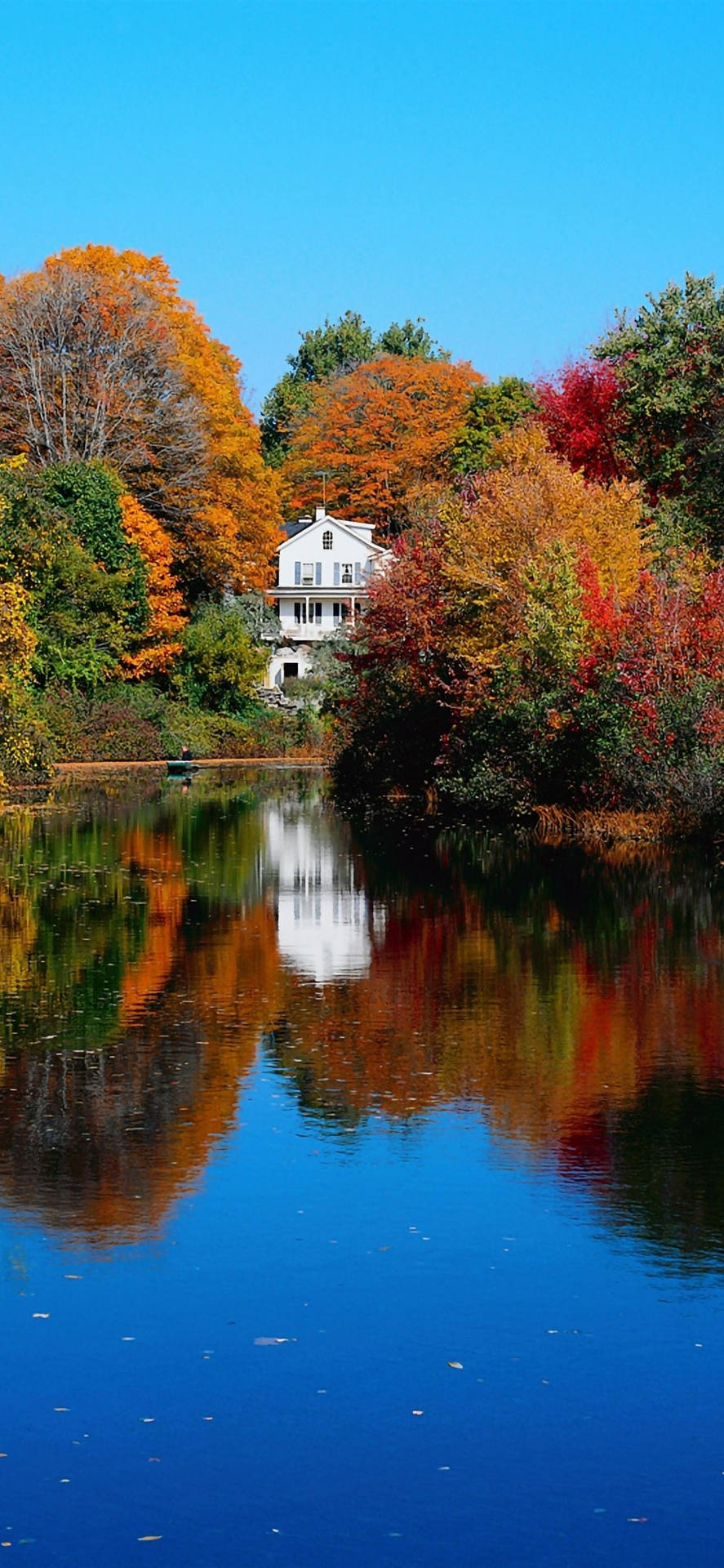 Autumn Iphone Lake House In Virginia Wallpaper
