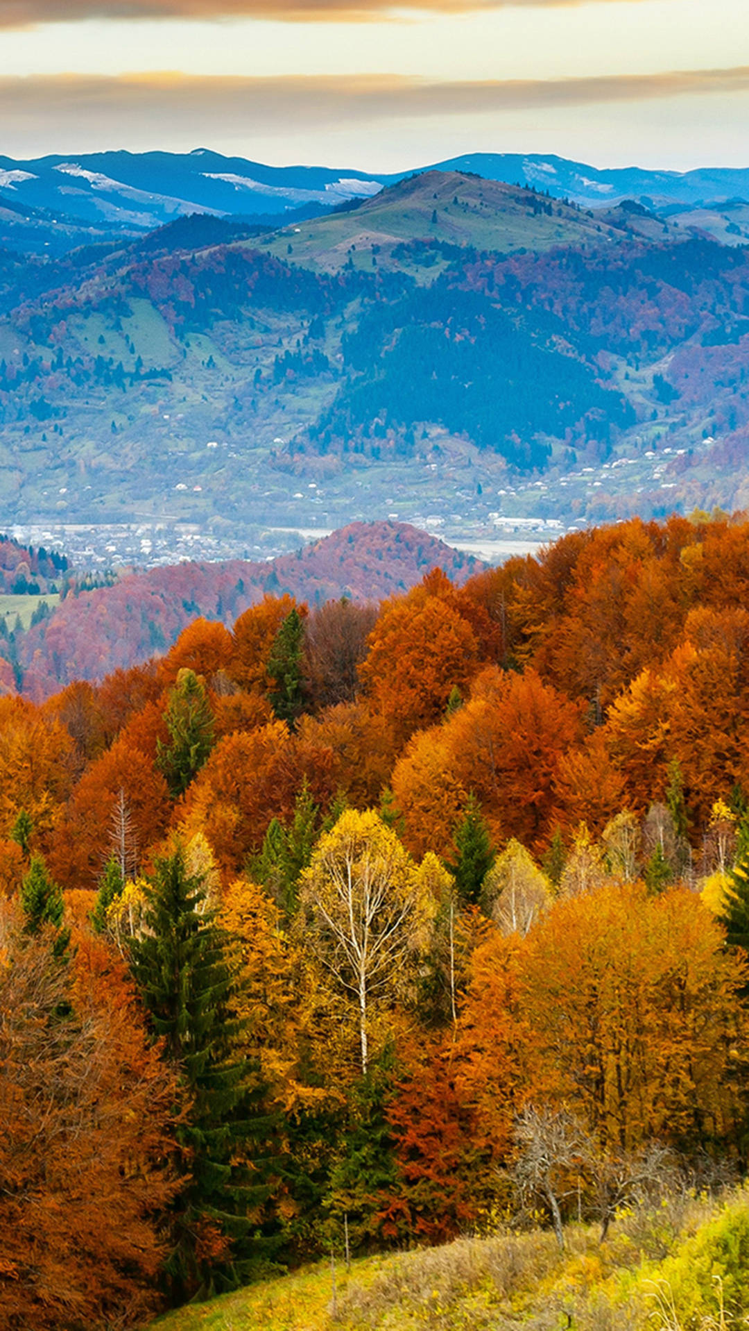 Autumn Iphone Mountain Spruce Trees Wallpaper