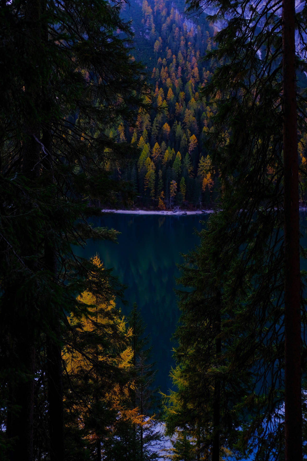 Autumn Lake Dark Forest Wallpaper
