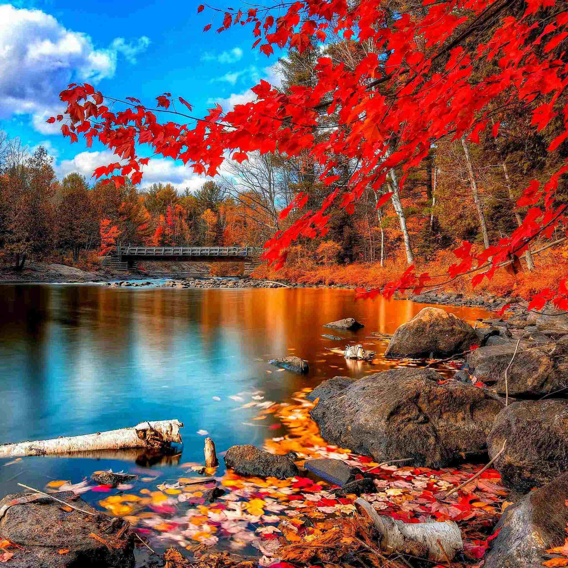 Autumn Lake Serenity Wallpaper