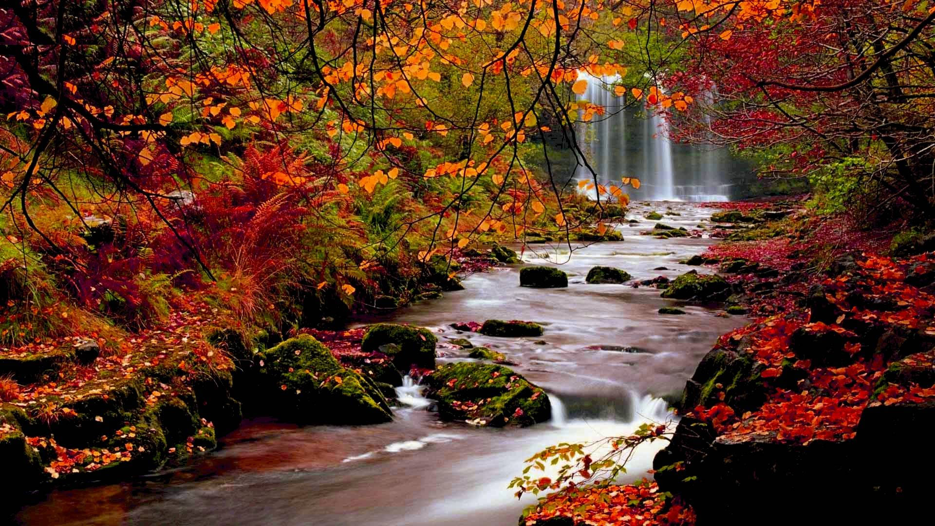 Streams of water from waterfalls with orange and red maple trees during autumn season.