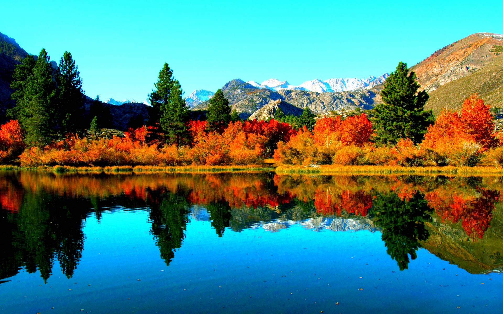 Autumn Landscape With Lake And Colorful Trees
