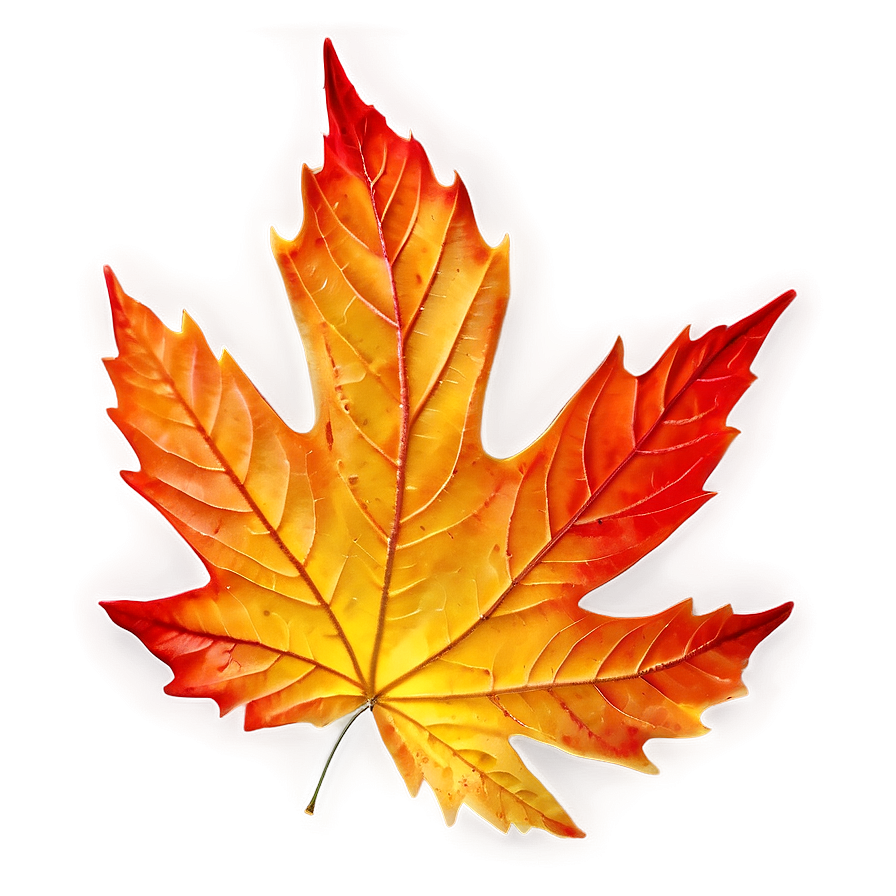 Autumn Leaf Background Png 06202024 PNG
