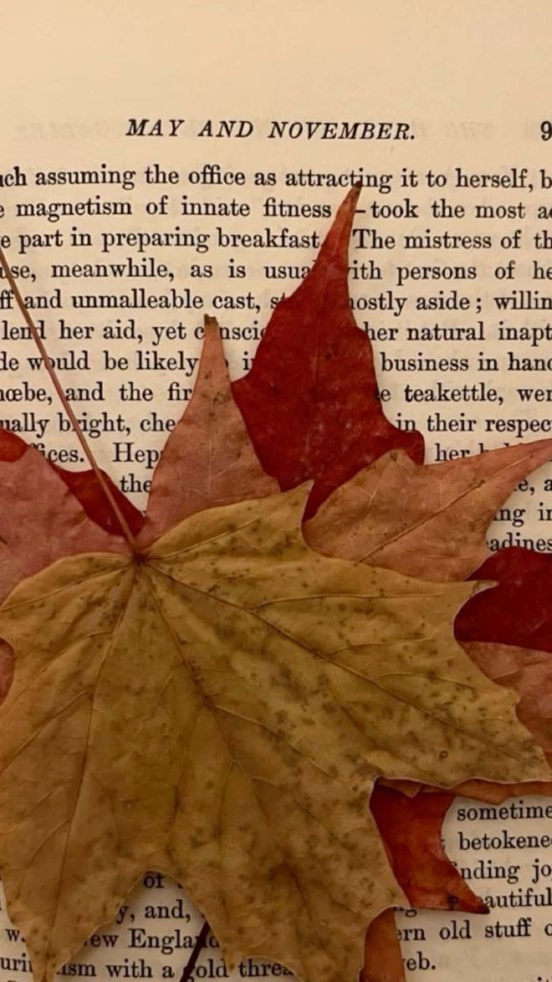 Autumn_ Leaf_on_ Book_ Page Wallpaper