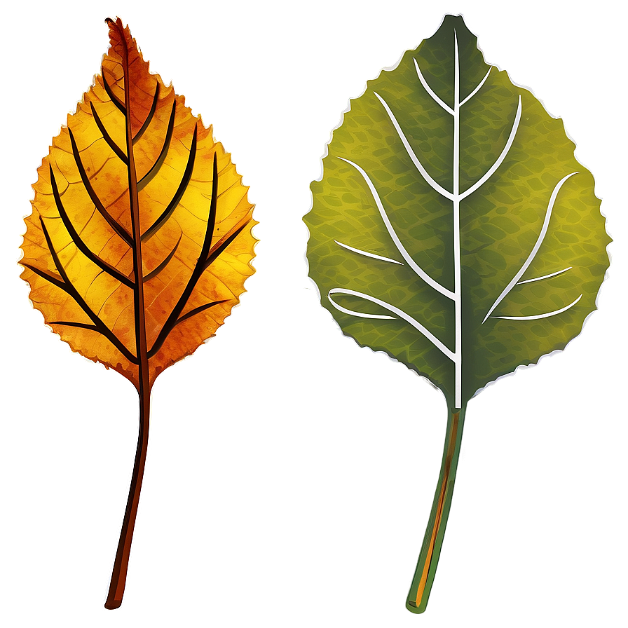 Download Autumn Leaf Outline Png Bhp | Wallpapers.com