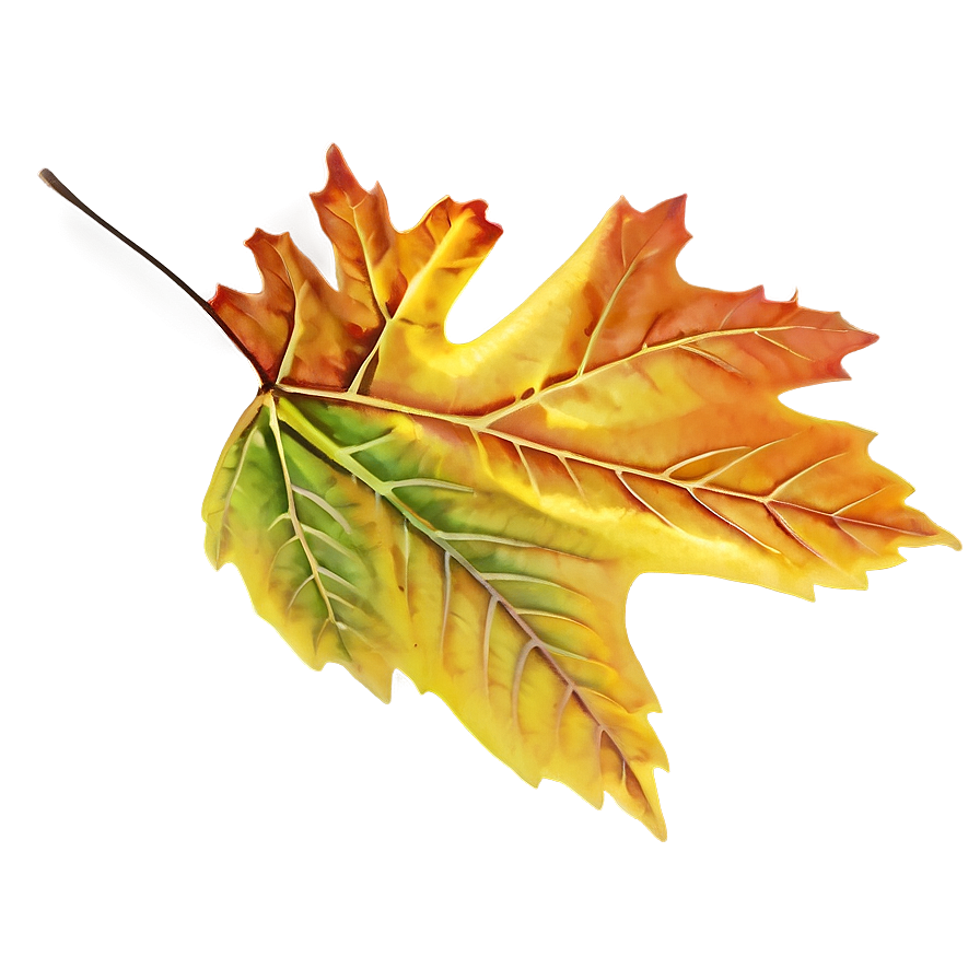 Autumn Leaf Png Wnk PNG