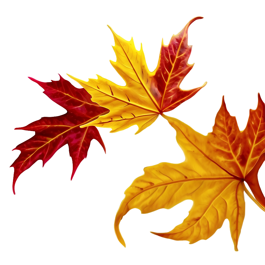 Autumn Leaf Swirl Png Htx PNG