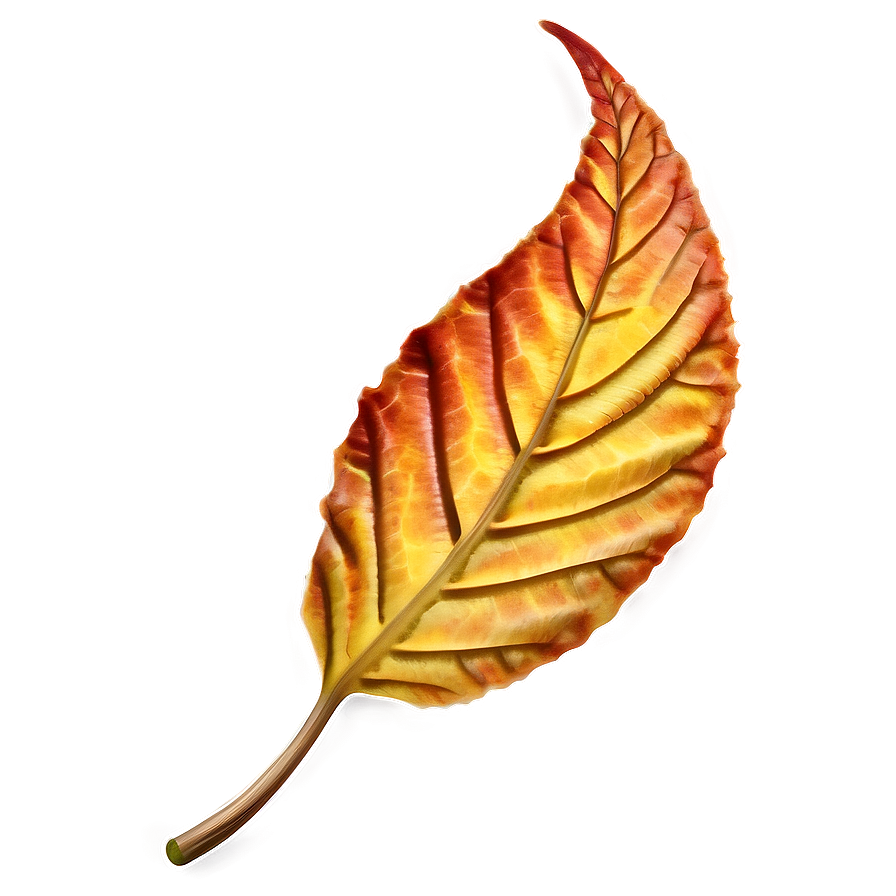 Autumn Leaf Underfoot Png Djs PNG