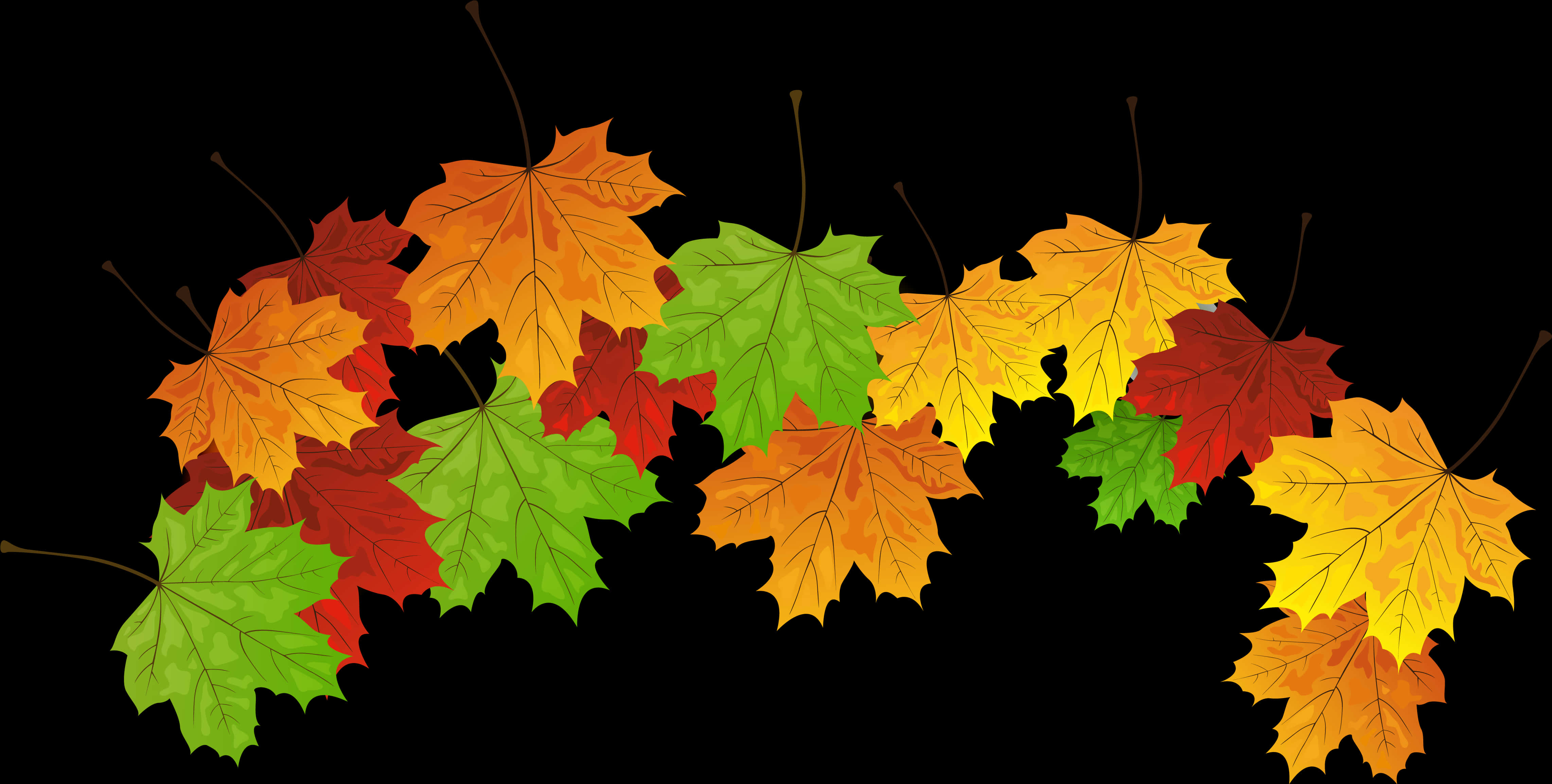 Autumn_ Leaves_ Against_ Black_ Background PNG