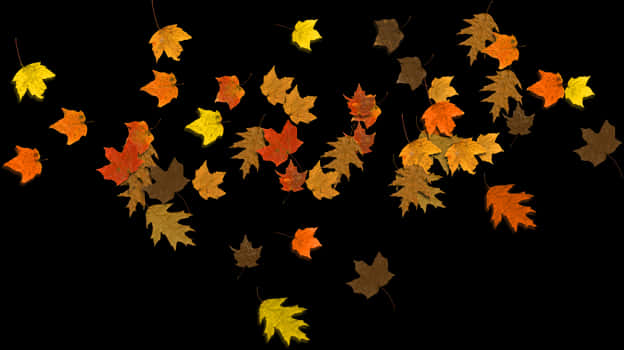 Autumn_ Leaves_ Against_ Dark_ Background.jpg PNG