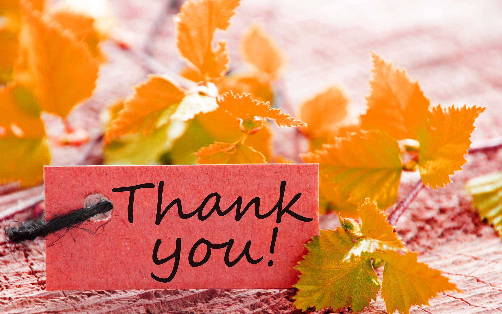 Autumn Leaves And Saying Thanks For Watching Wallpaper