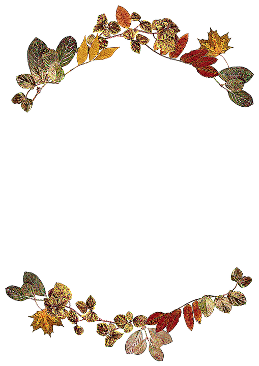 Autumn_ Leaves_ Arch_ Frame PNG