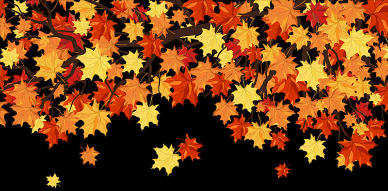 Autumn_ Leaves_ Background PNG