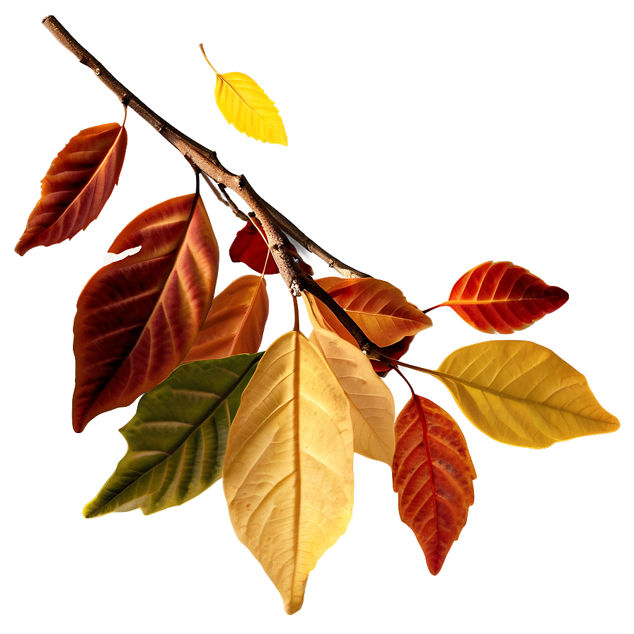 Autumn Leaves Background Png 62 PNG