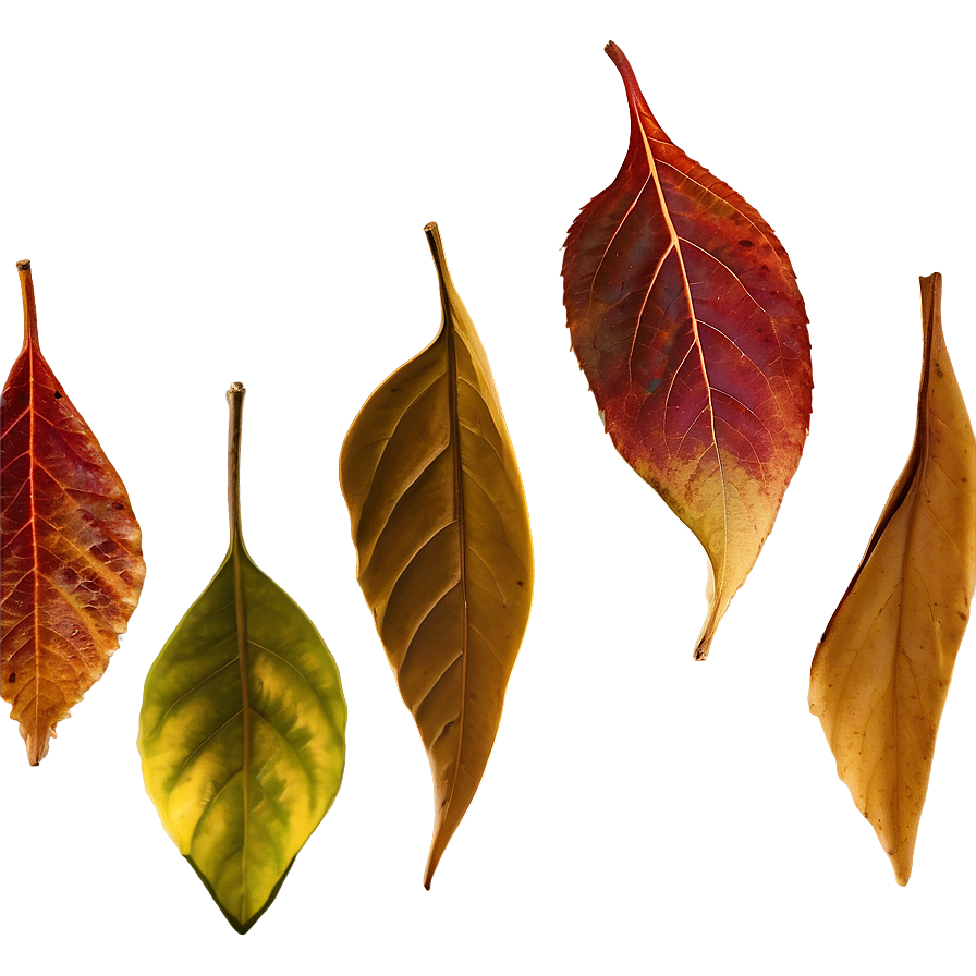 Autumn Leaves Background Png Xvp PNG