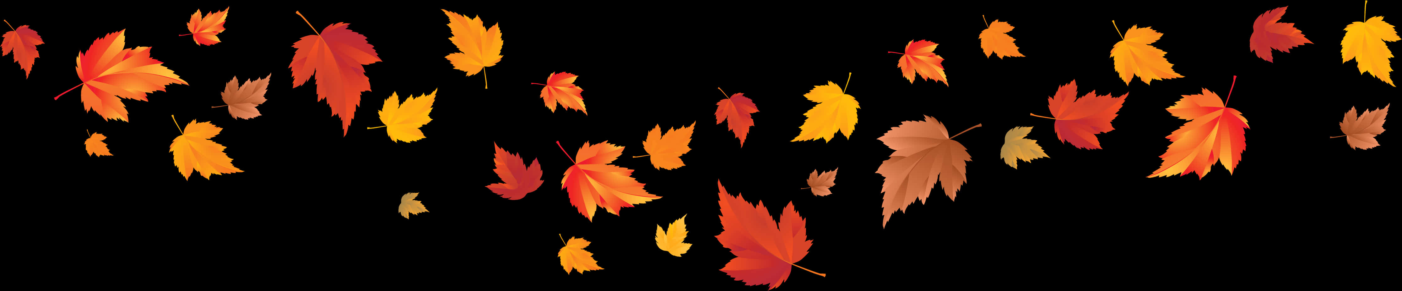 Autumn_ Leaves_ Black_ Background PNG