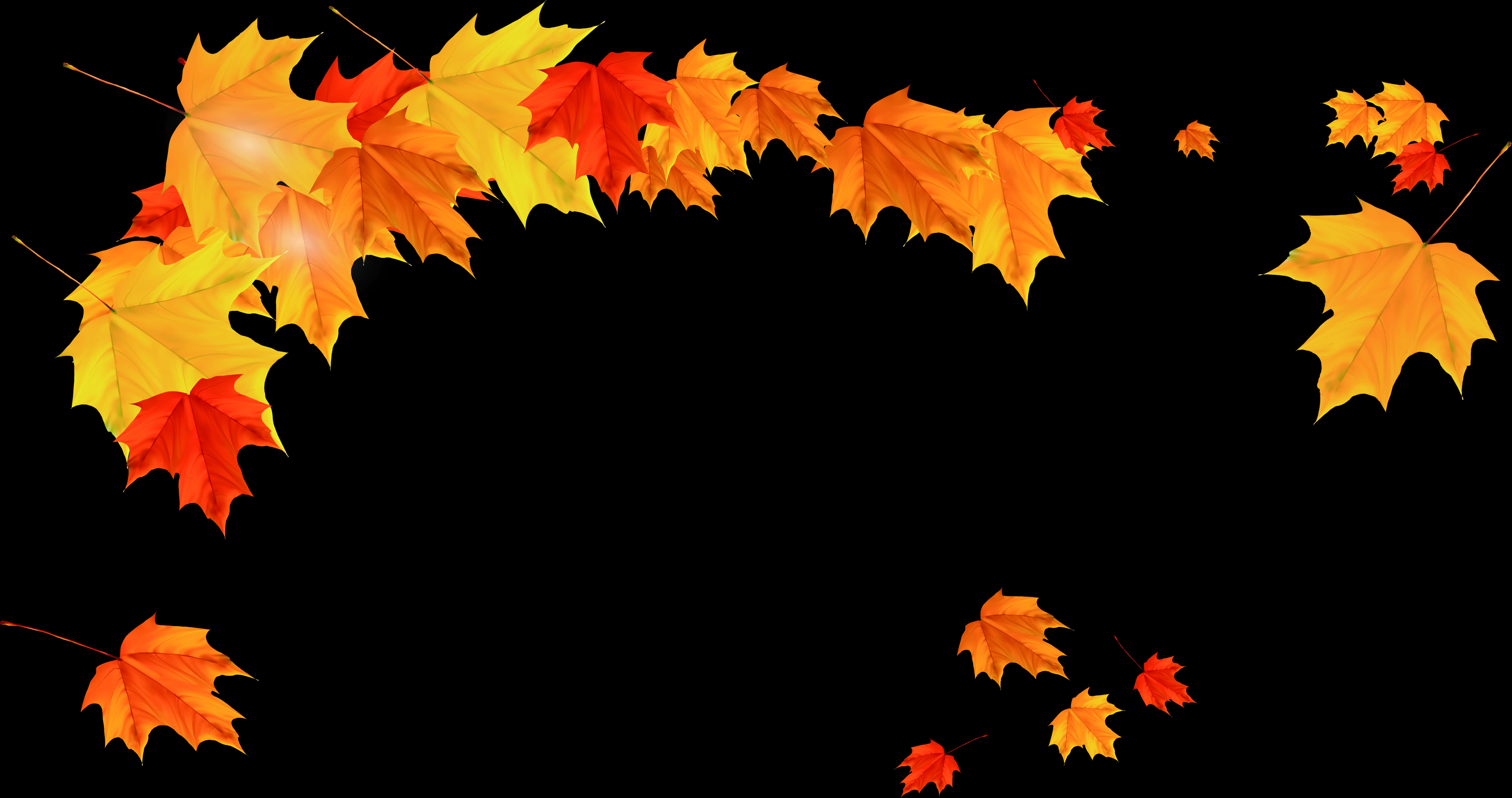 Download Autumn Leaves Black Background 