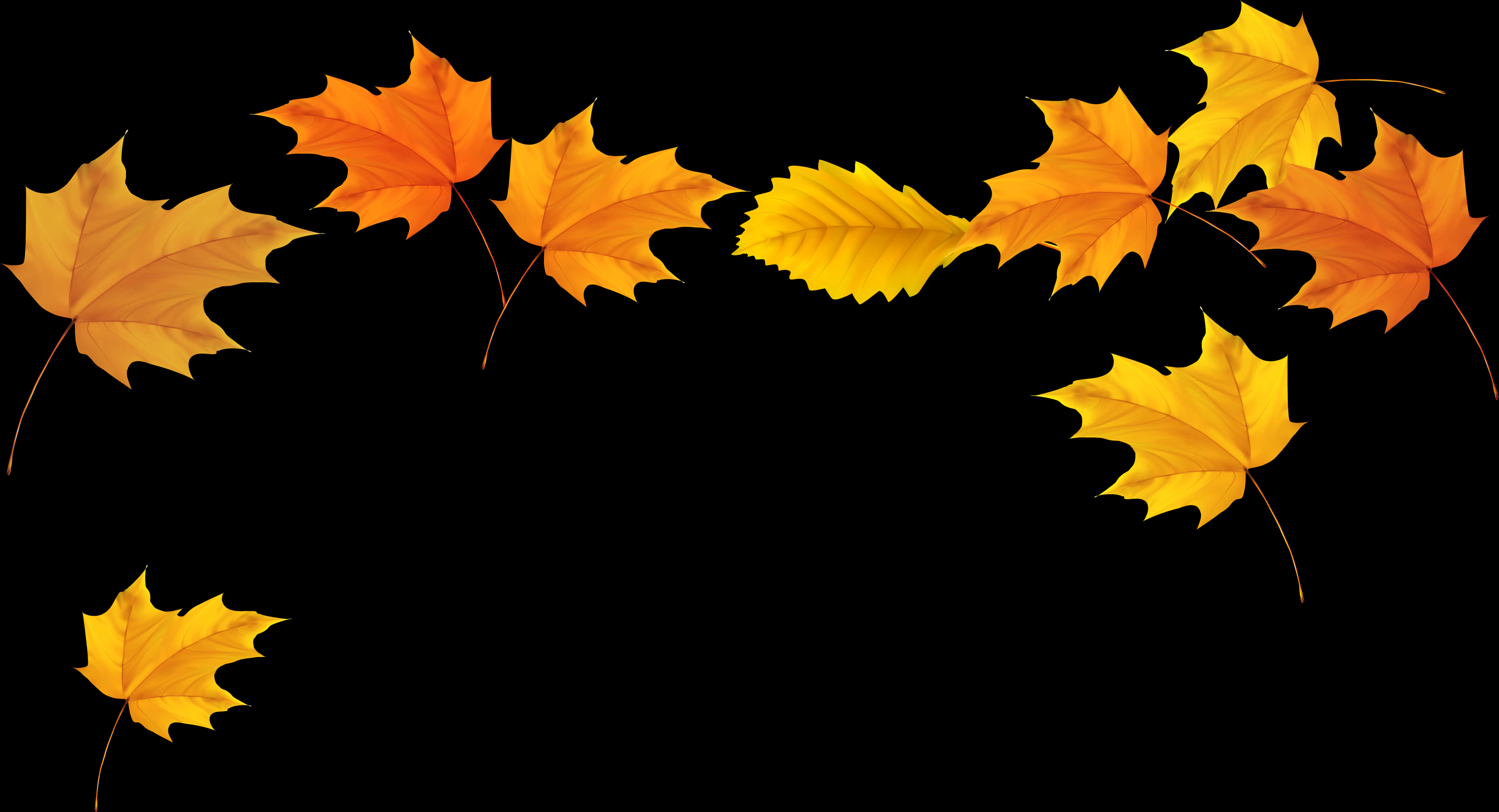 Download Autumn Leaves Black Background | Wallpapers.com