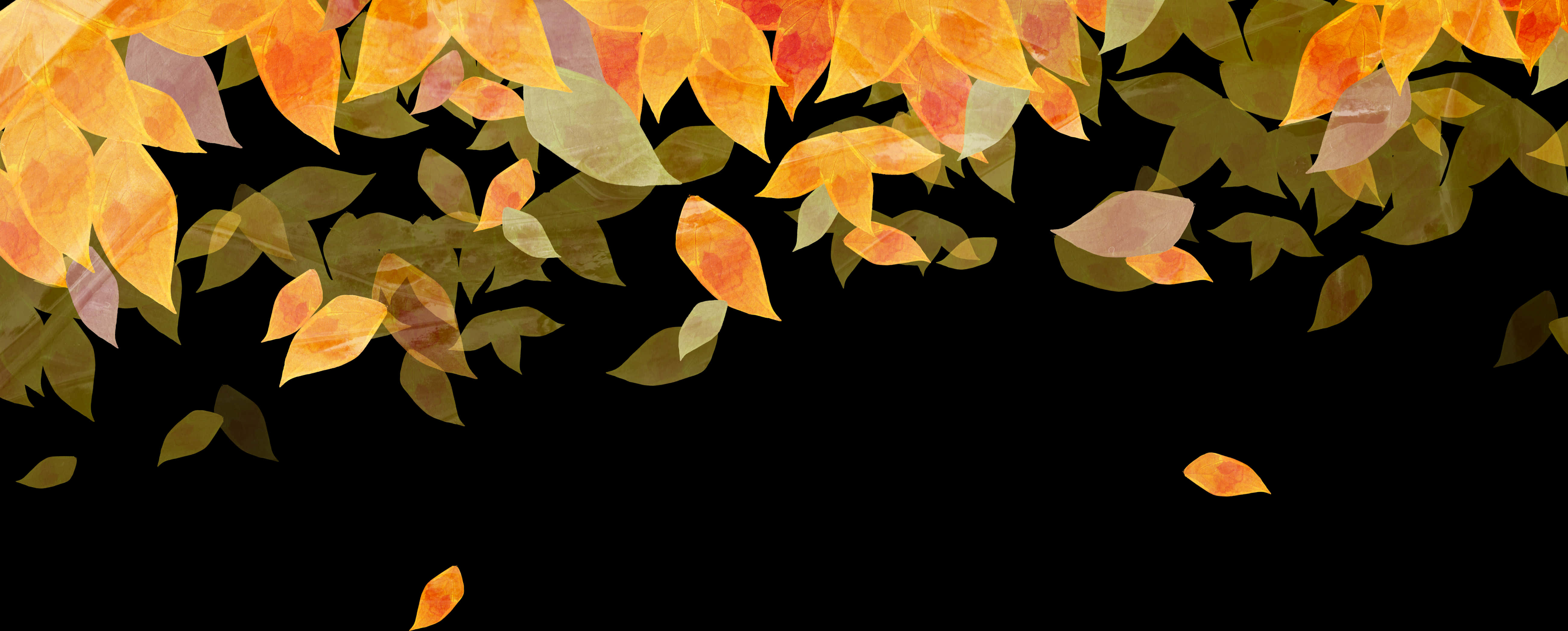 Autumn_ Leaves_ Border_ Design PNG