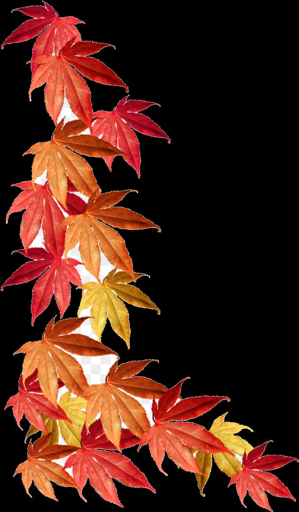 Autumn Leaves Border Design PNG