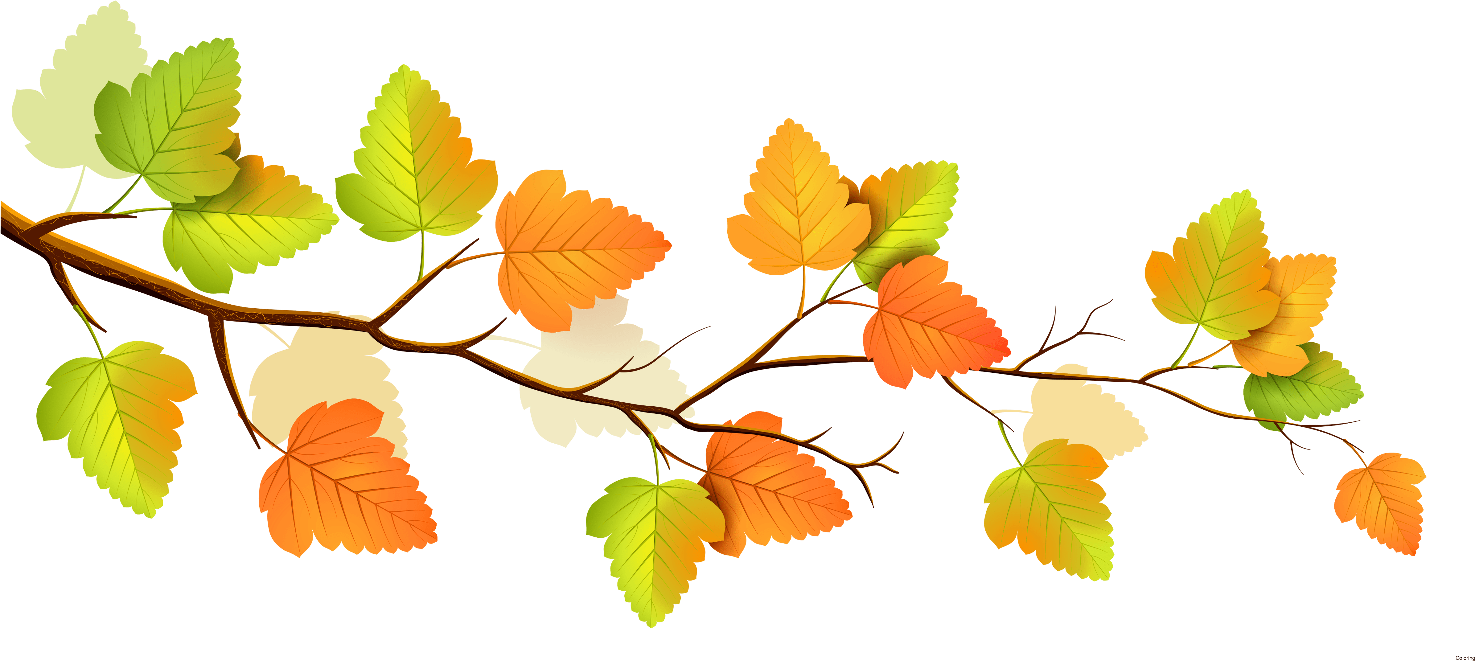 Autumn Leaves Branch Illustration PNG