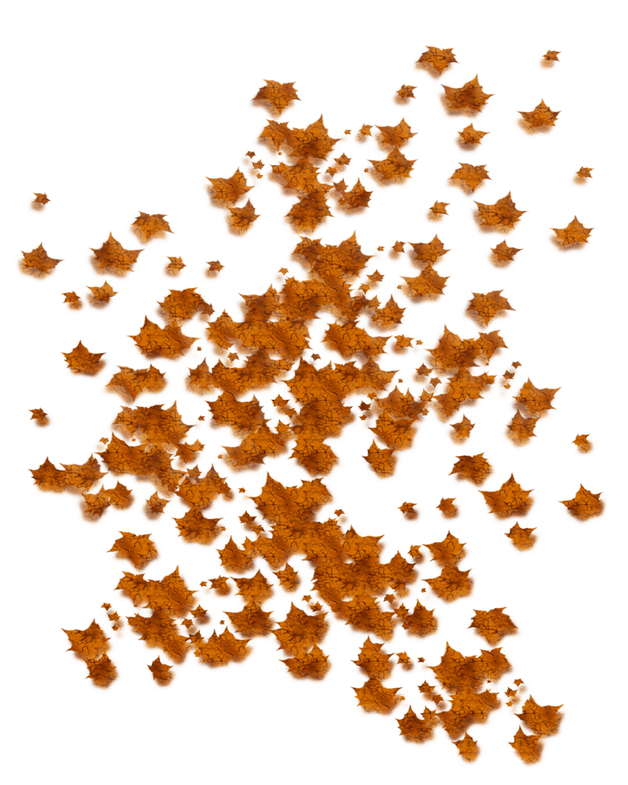 Autumn Leaves Cascade PNG