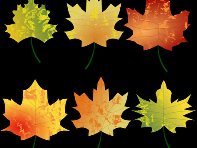 Autumn_ Leaves_ Collection PNG