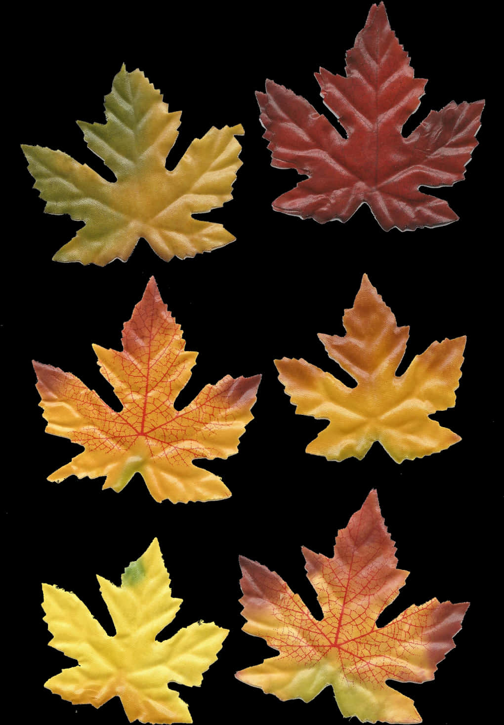Autumn_ Leaves_ Collection.jpg PNG