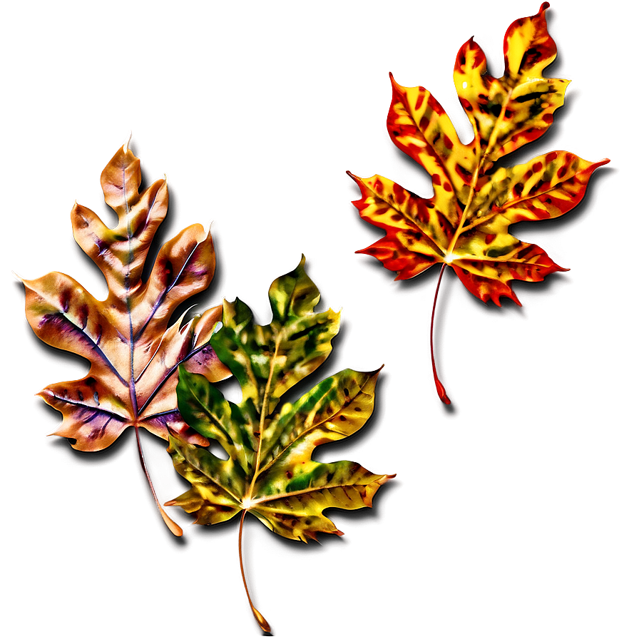 Autumn Leaves Effect Png 06122024 PNG