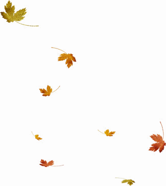 Autumn Leaves Falling Animation PNG