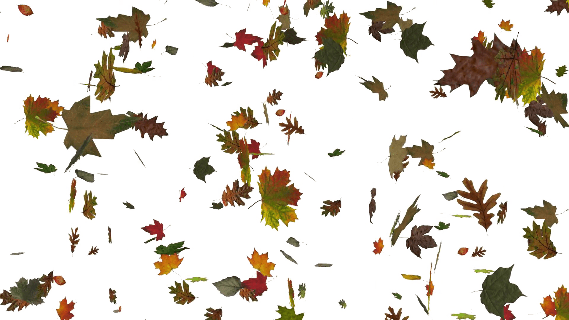 Autumn Leaves Falling Background PNG