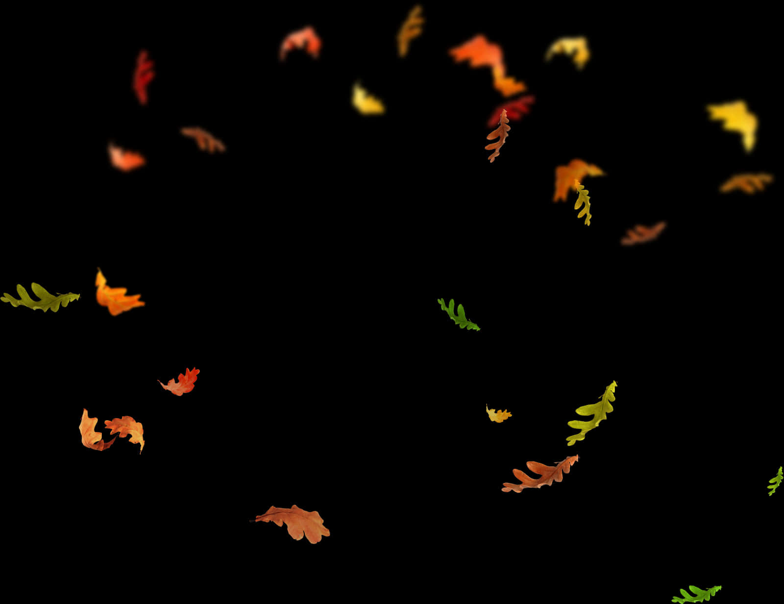 Autumn_ Leaves_ Falling_ Black_ Background.jpg PNG