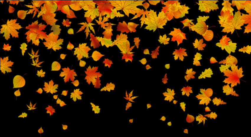 Autumn Leaves Falling Black Background PNG