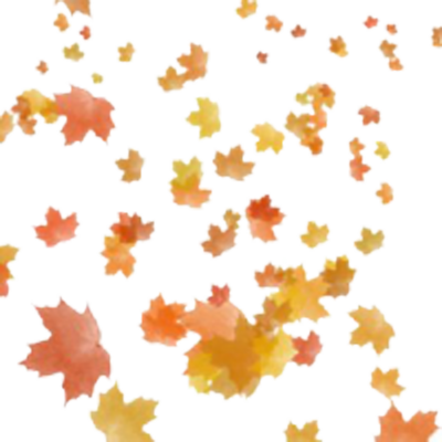 Autumn Leaves Falling Pattern PNG